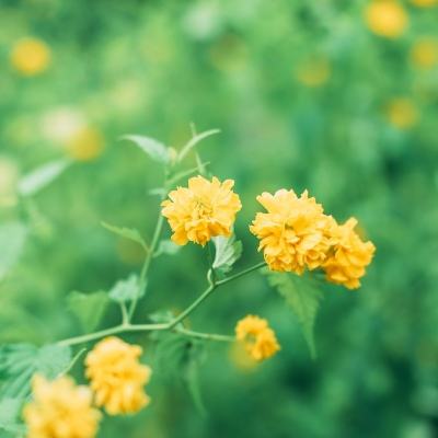 一代宗师变态版456下载